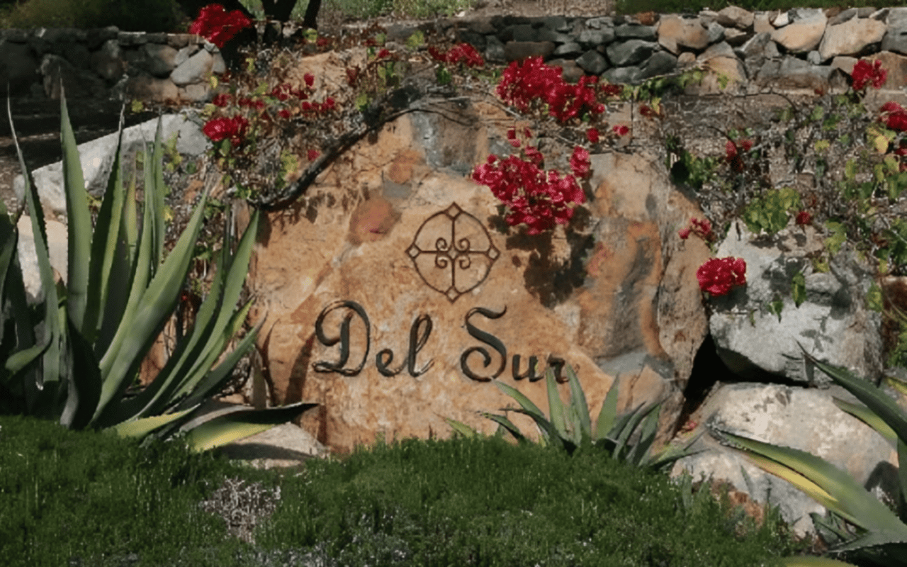 Del Sur