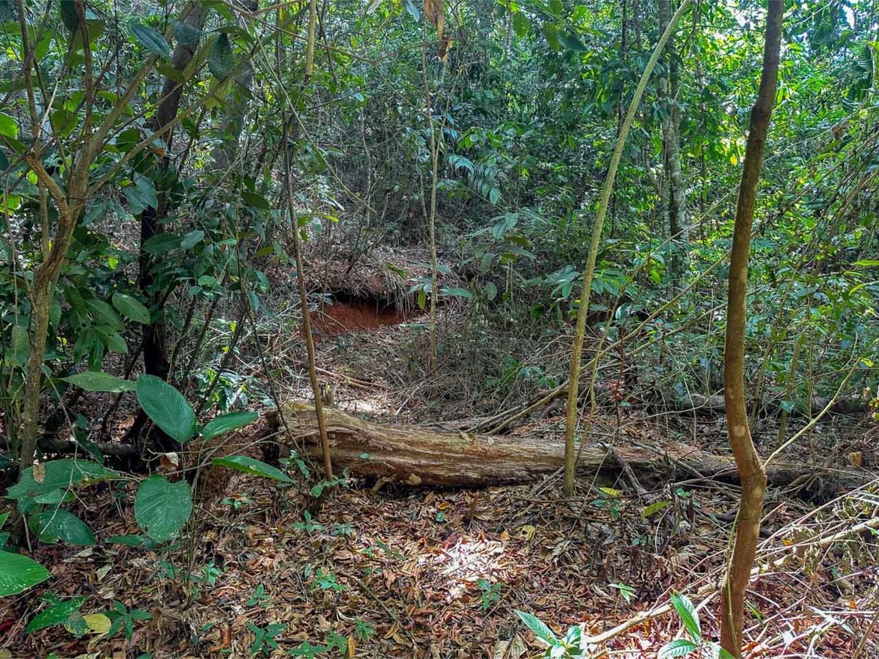 Oceanfront Highway Commercial Land, Ojochal, Puntarenas