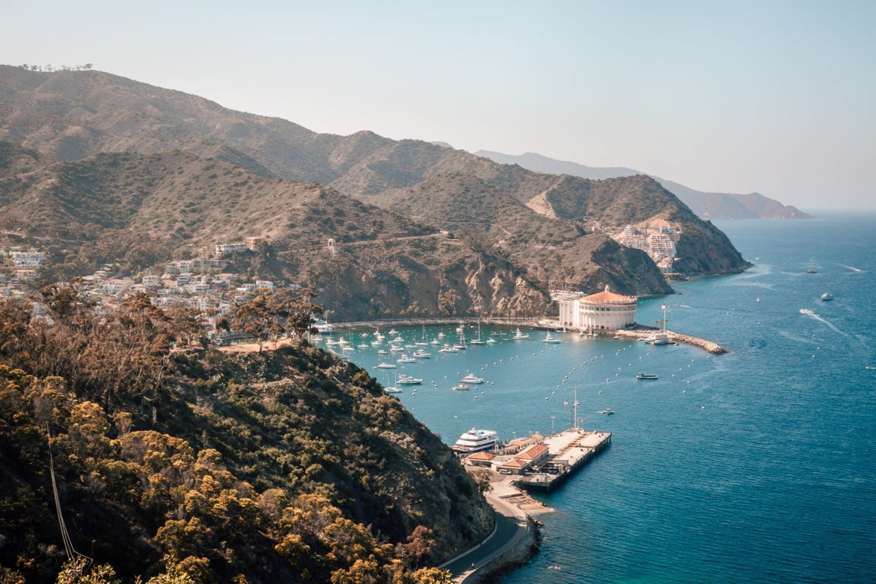 Catalina Island Day Trip Guide
