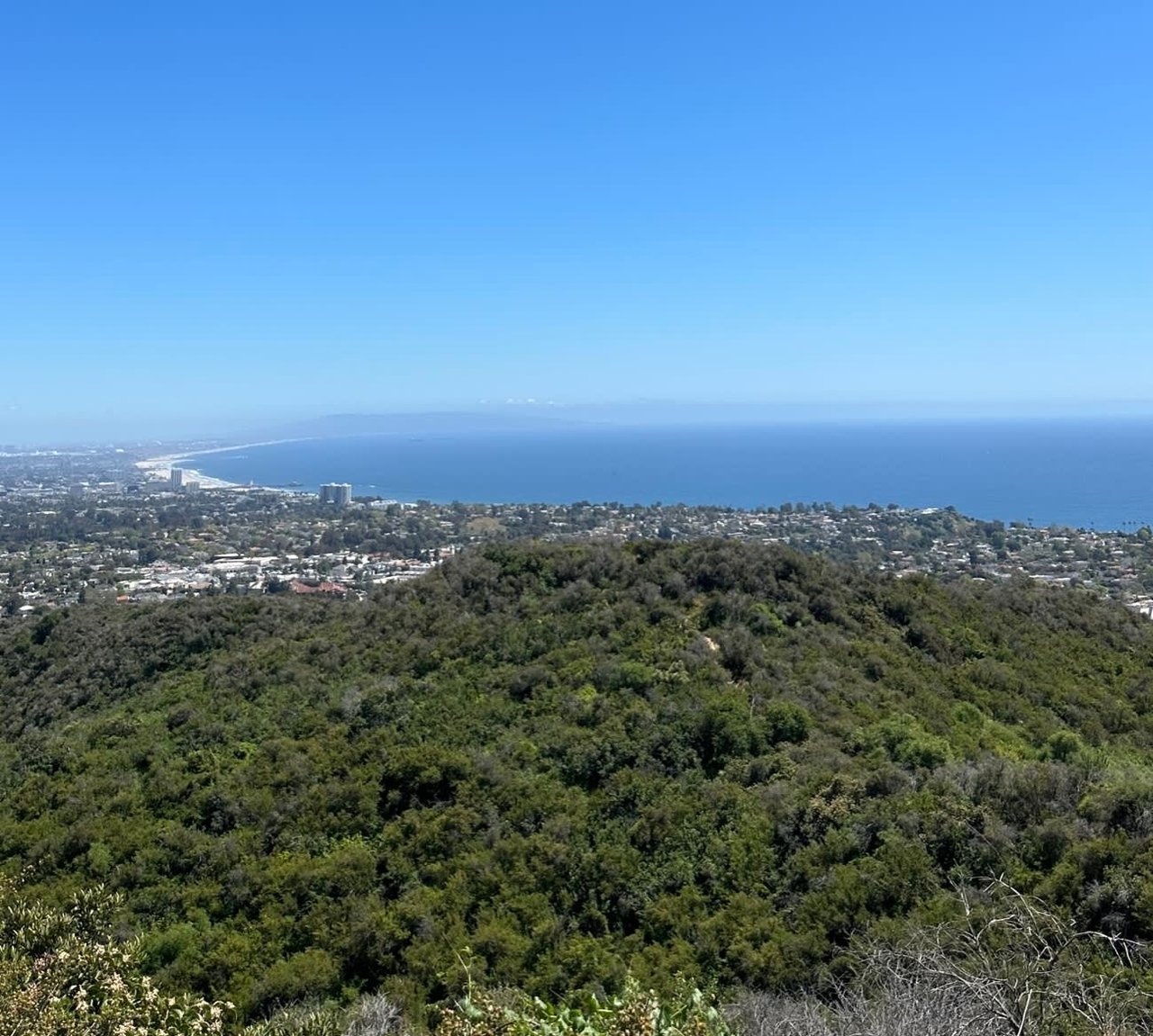 Pacific Palisades