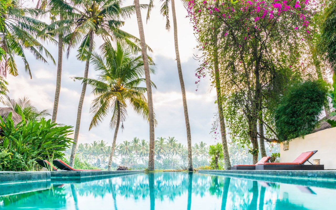 A sparkling swimming pool surrounded by lush palm trees on a sunny day