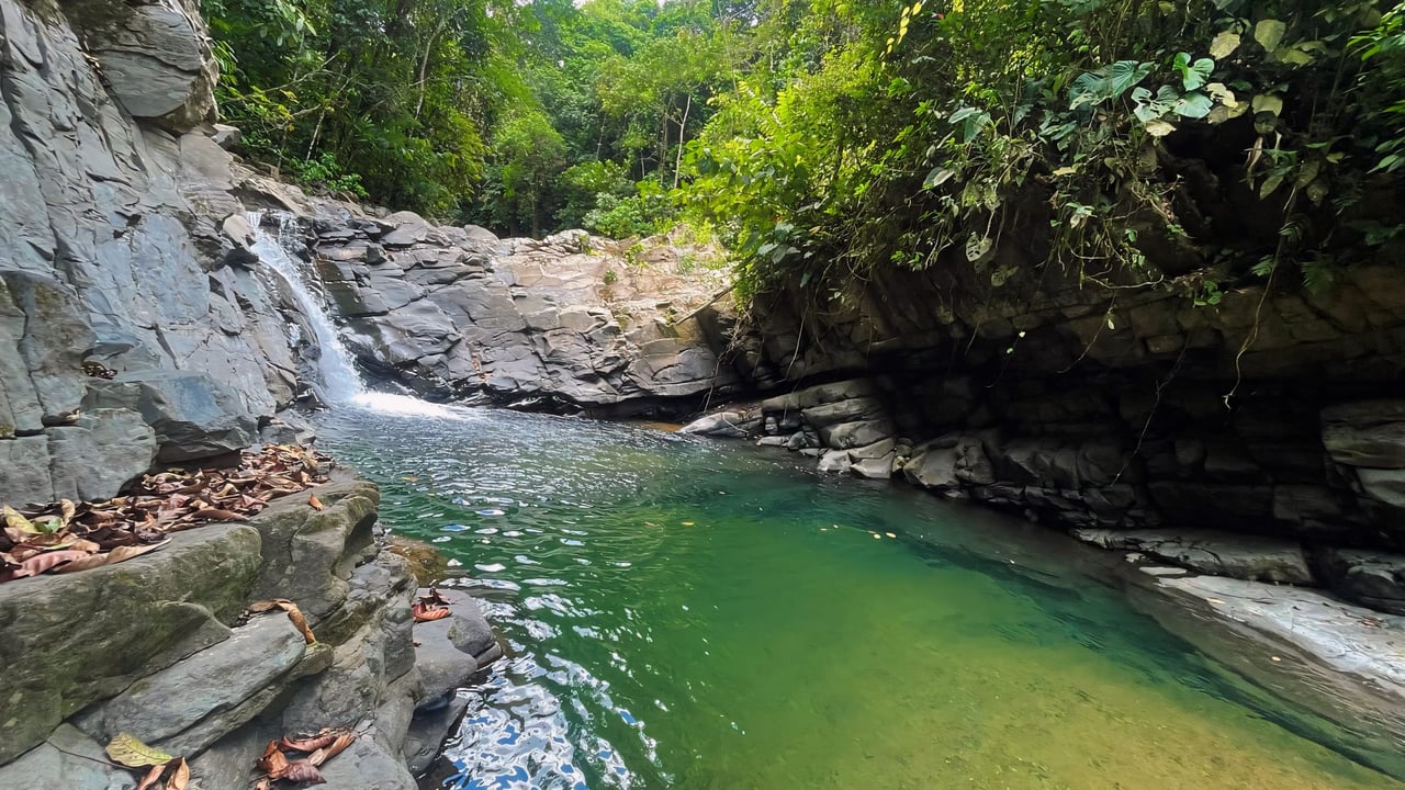 Finca Cerro del Tigre!   Over 20 Acres of Primary Forest and  Waterfalls. 