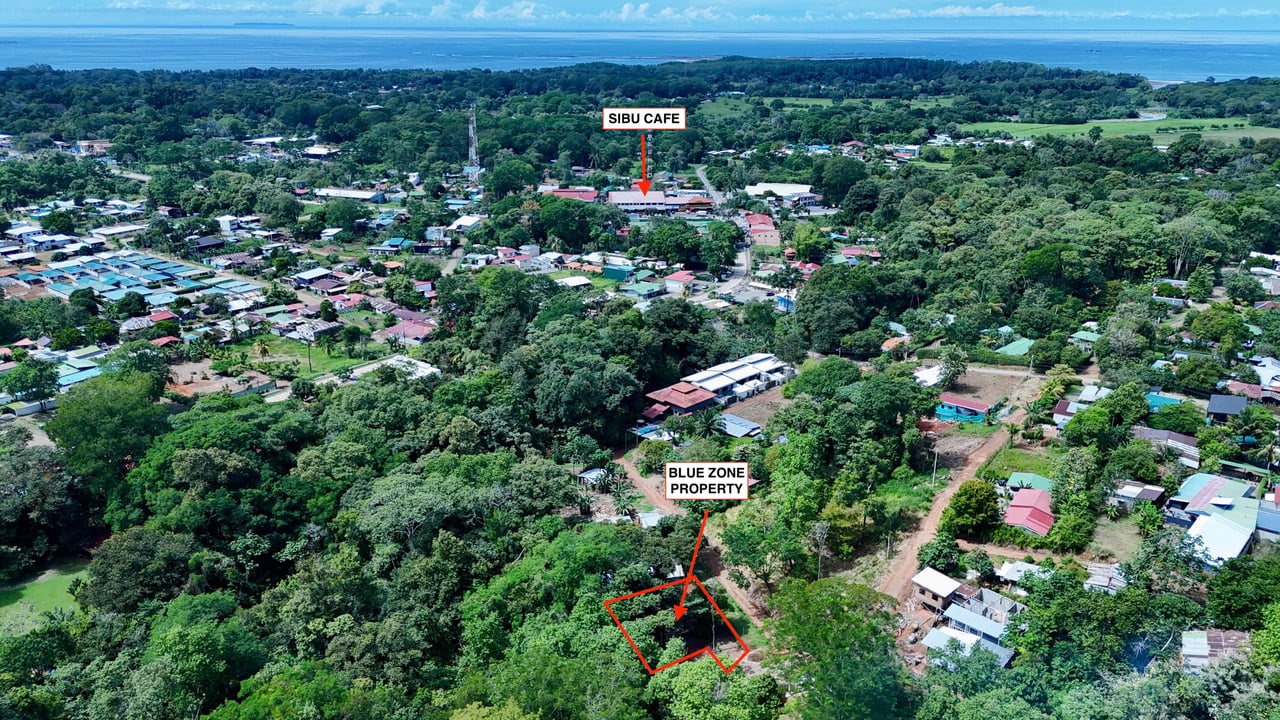 Jungle Side Lots in Uvita, Walking Distance to Amenities