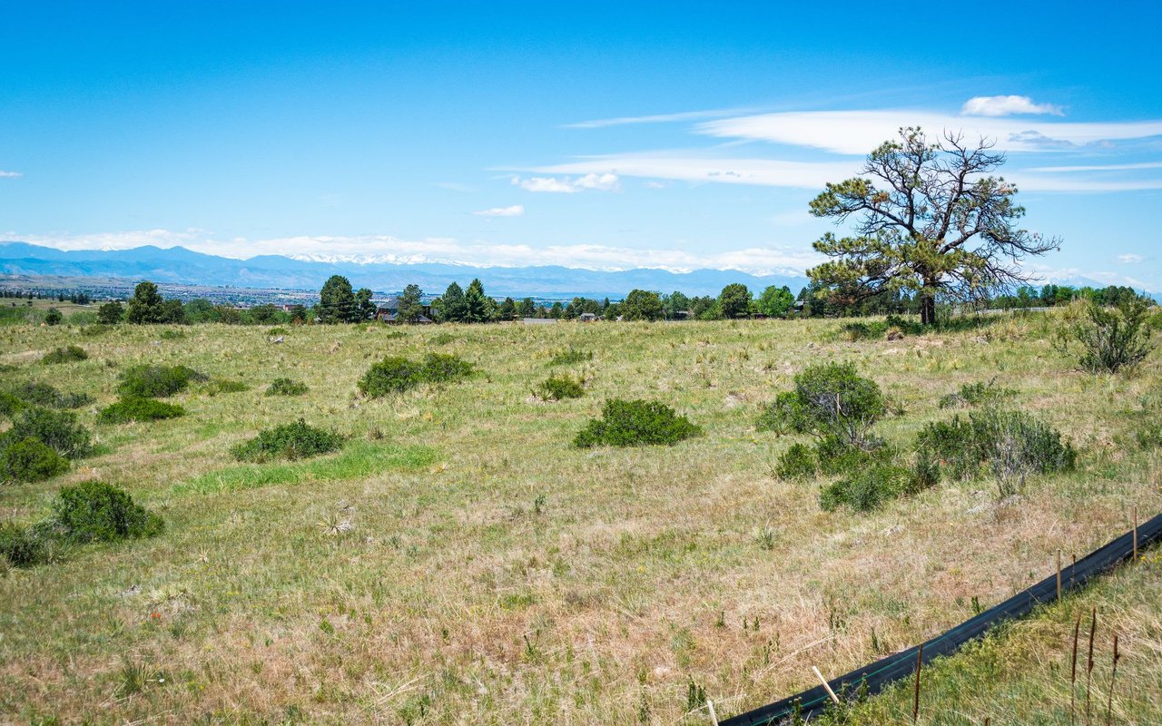 8317  Merryvale Trail