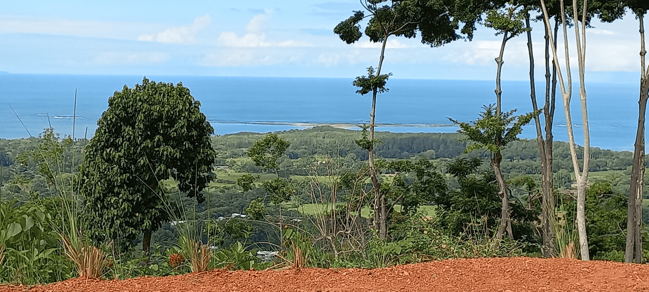 Front Ridge Land with Epic Ocean and Whale Tail Views