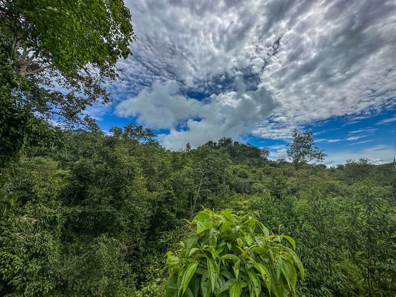 Costa Rican Gem with Conservation Potential: Preserve 26 Acres of Pristine Land