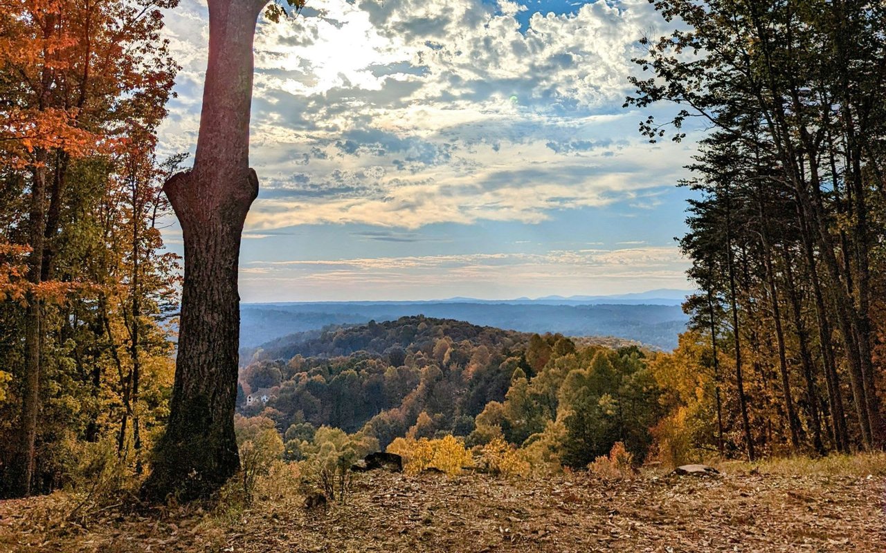 Dahlonega