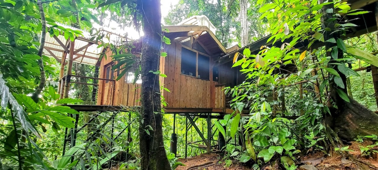 Sustainable Community House, Osa, Puntarenas