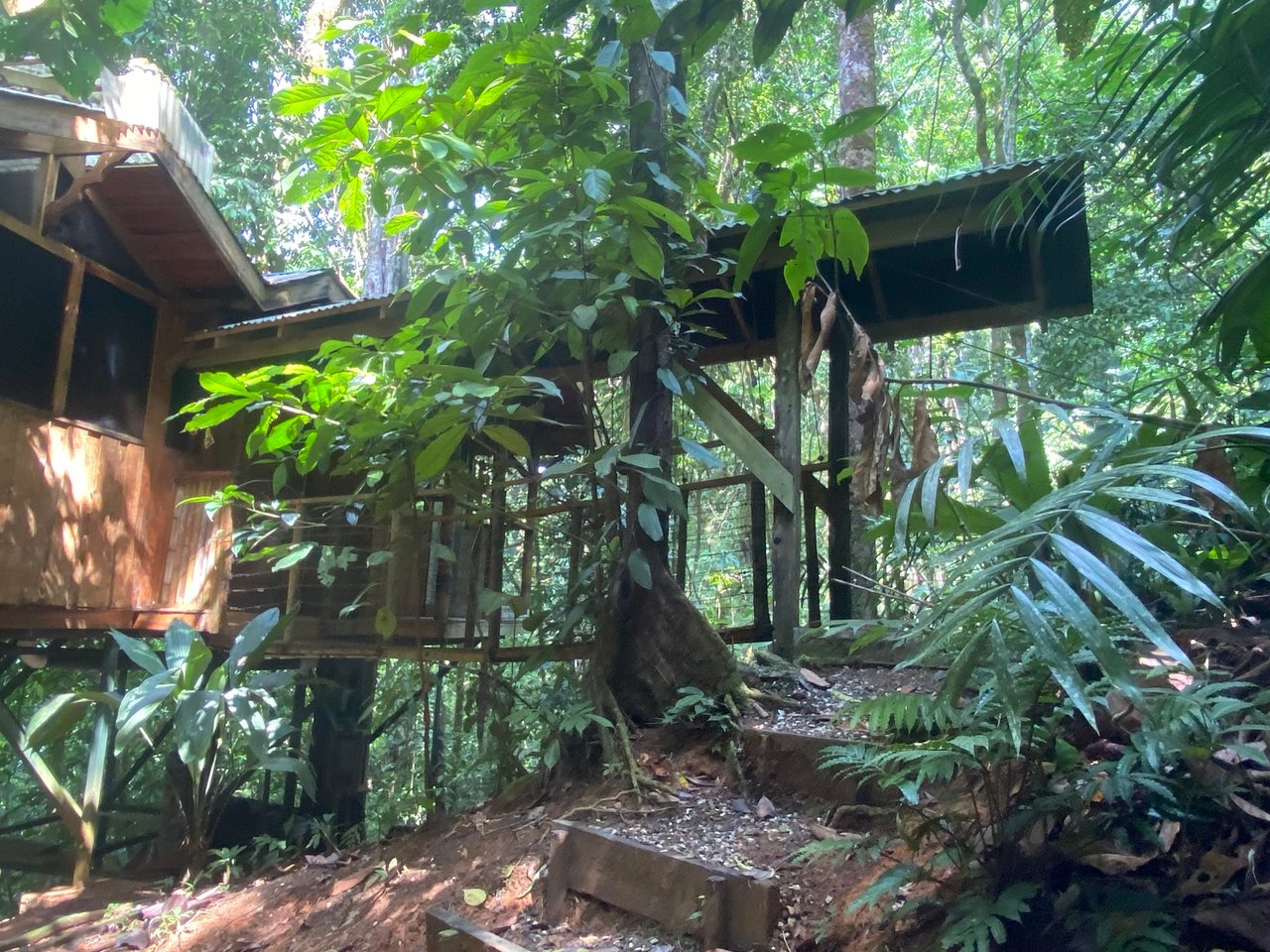 Sustainable Community House, Osa, Puntarenas