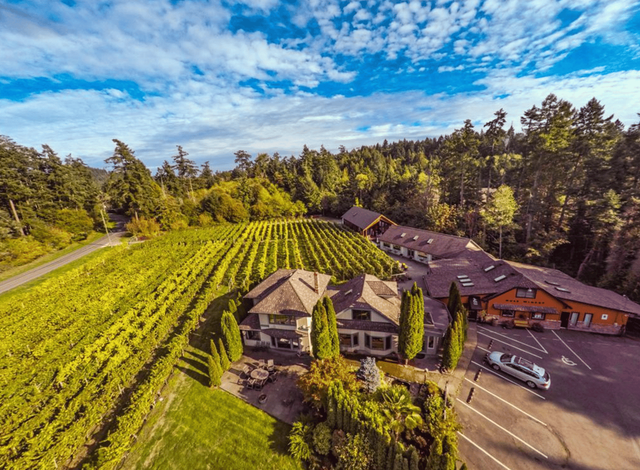 Winery / Vineyard - Muse Winery.