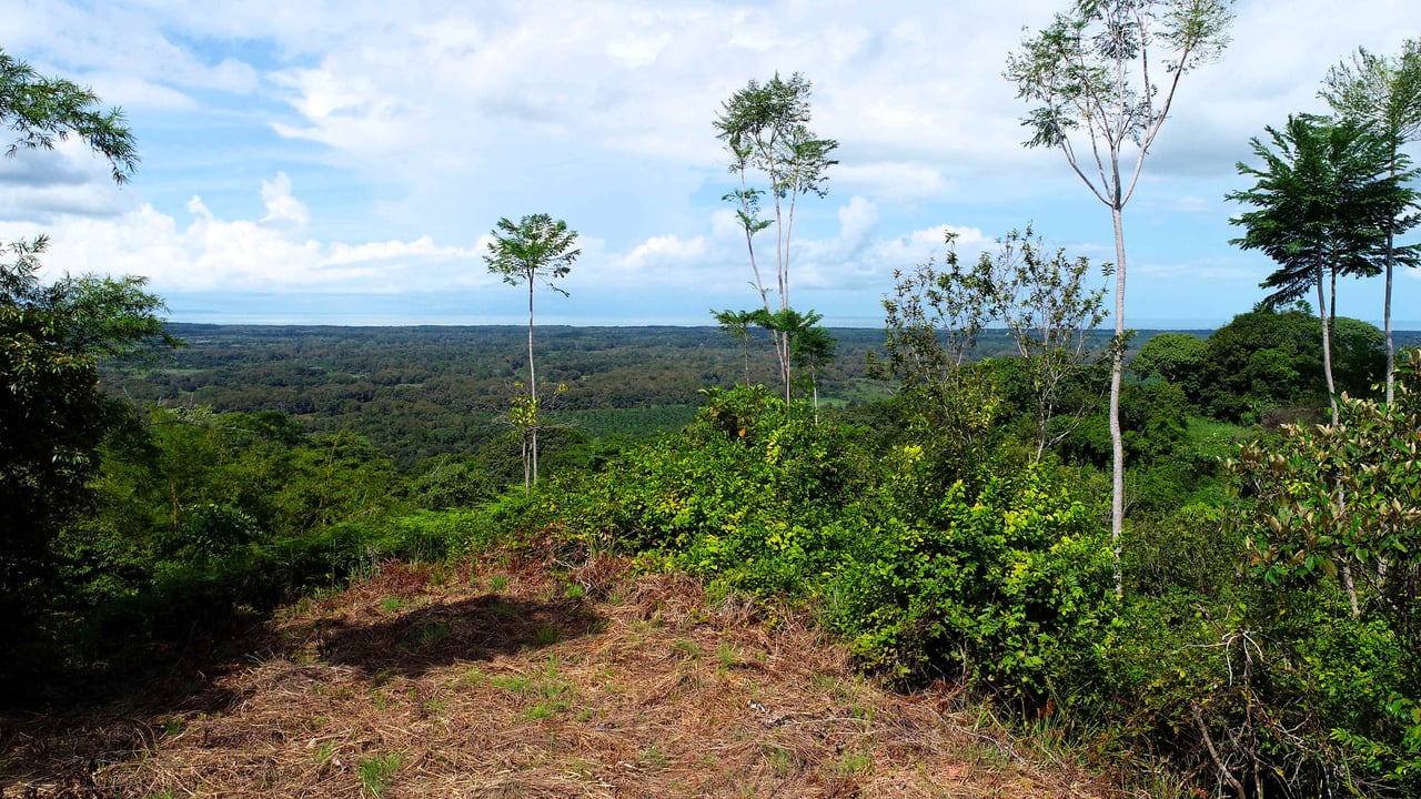 2 Acres Property with 360 Panoramic Views!