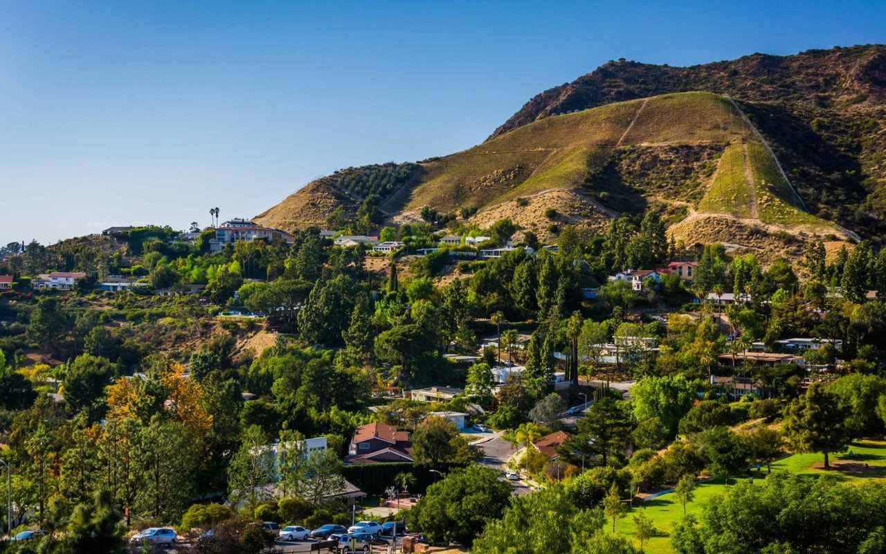 HOLLYWOOD HILLS