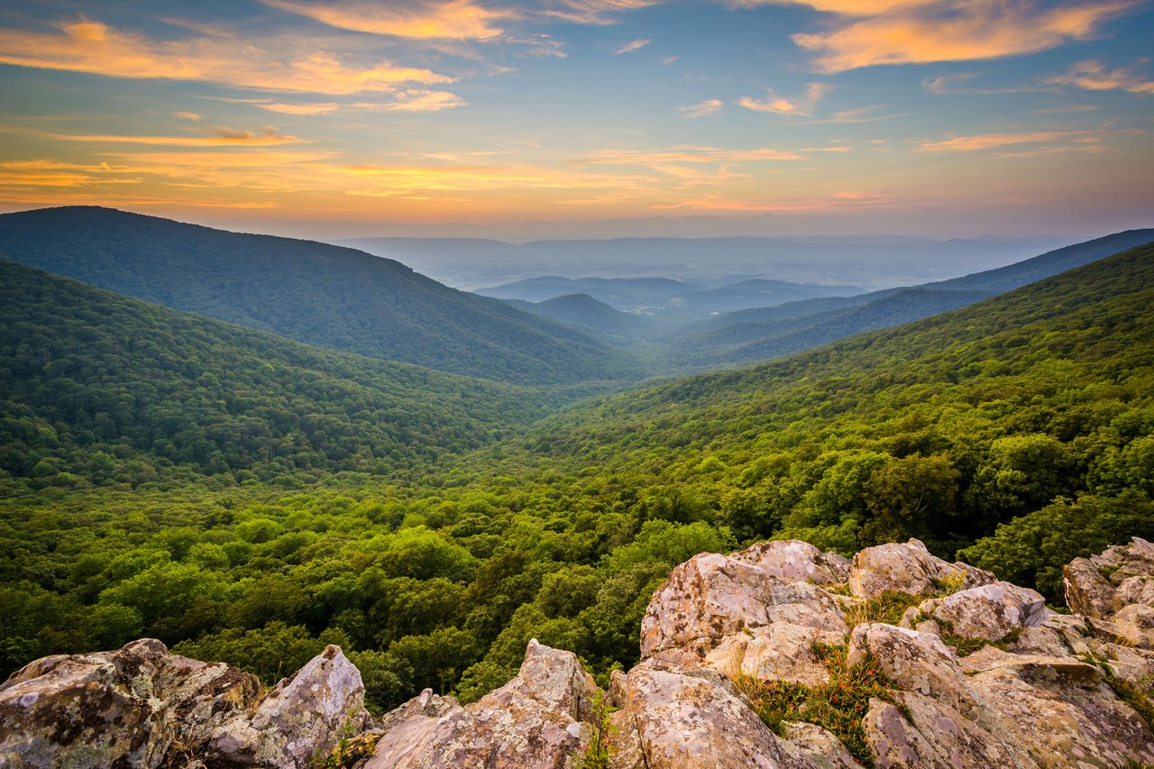 Shenandoah