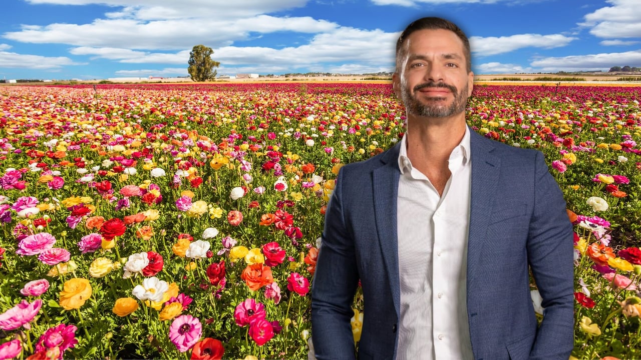 What this spring means for buyers, sellers and real estate agents