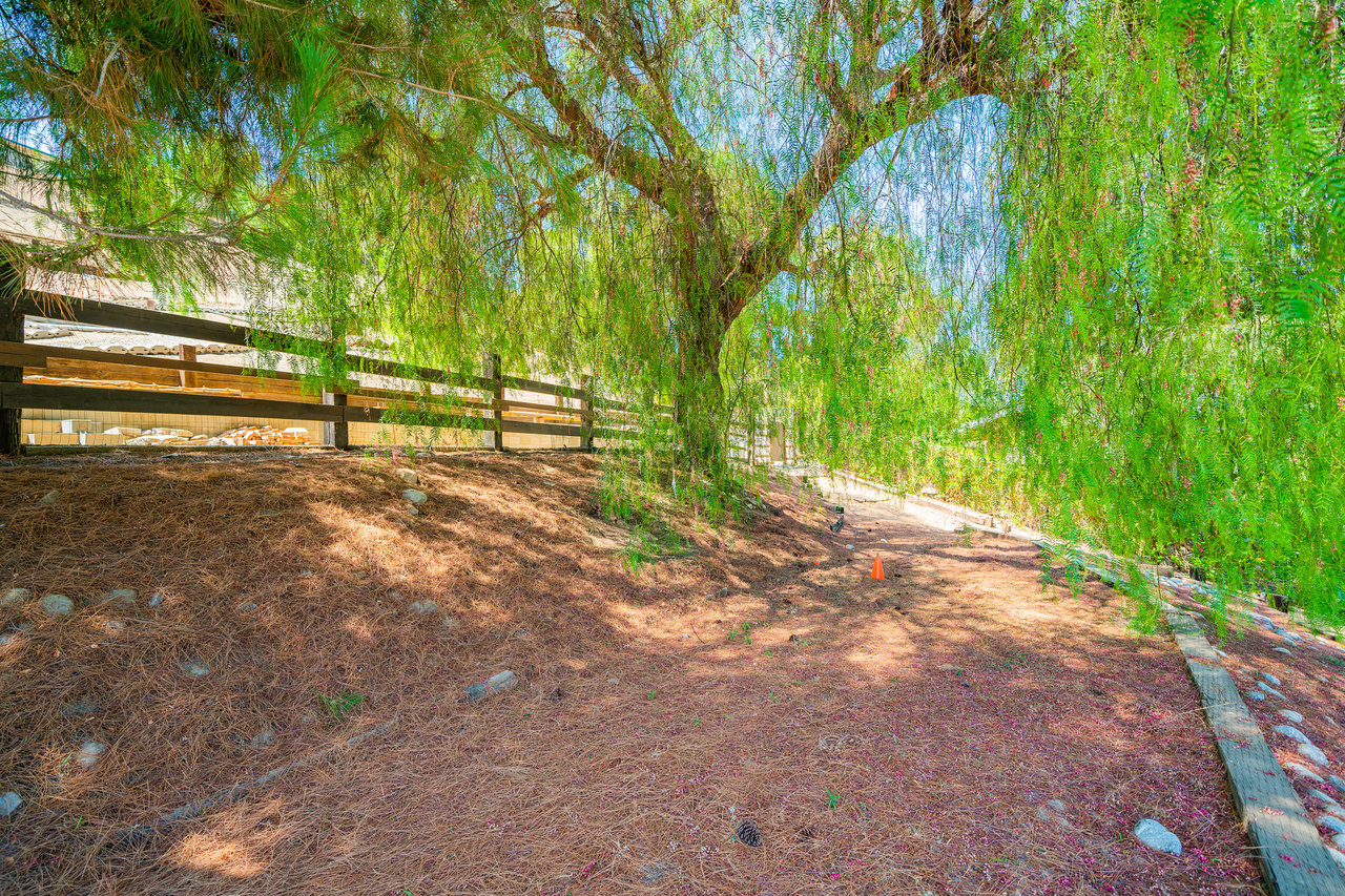 A Lil Bit O' Country in Shadow Hills * SOLD at full price