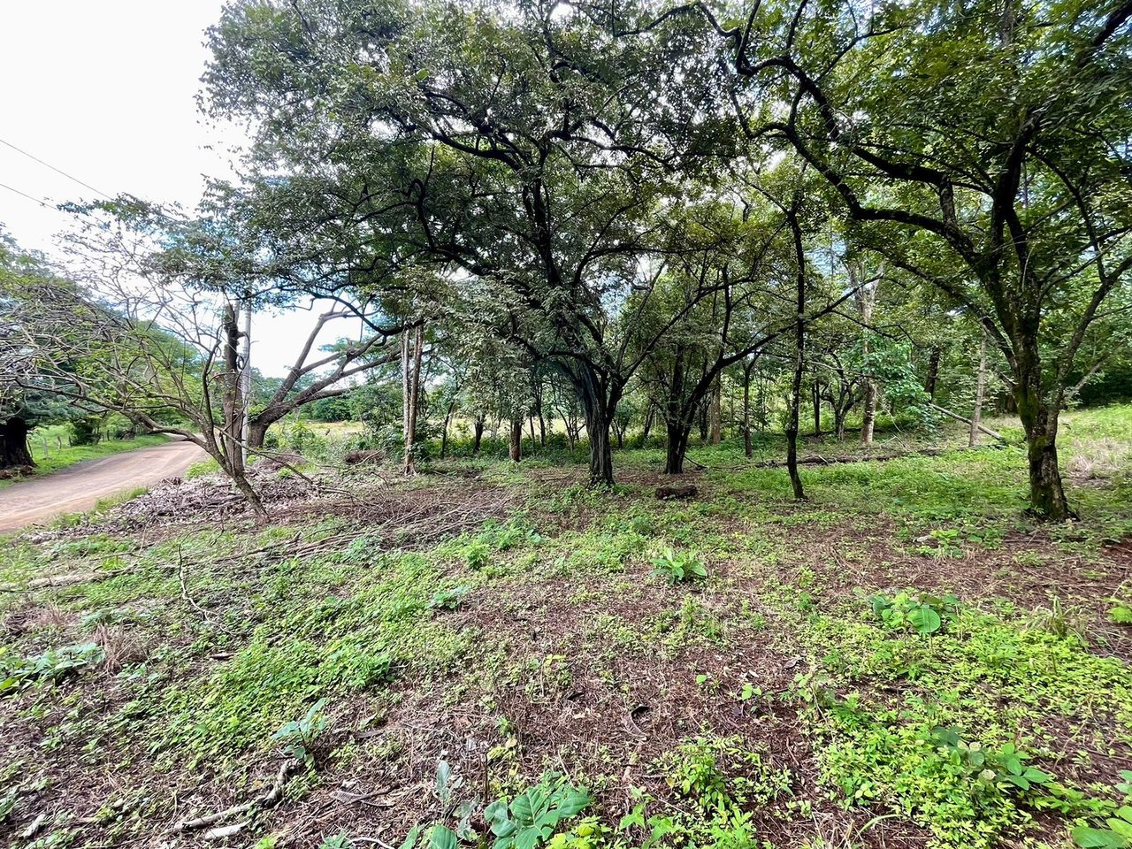 Private Tropical Building Lot, Tamarindo, Guanacaste