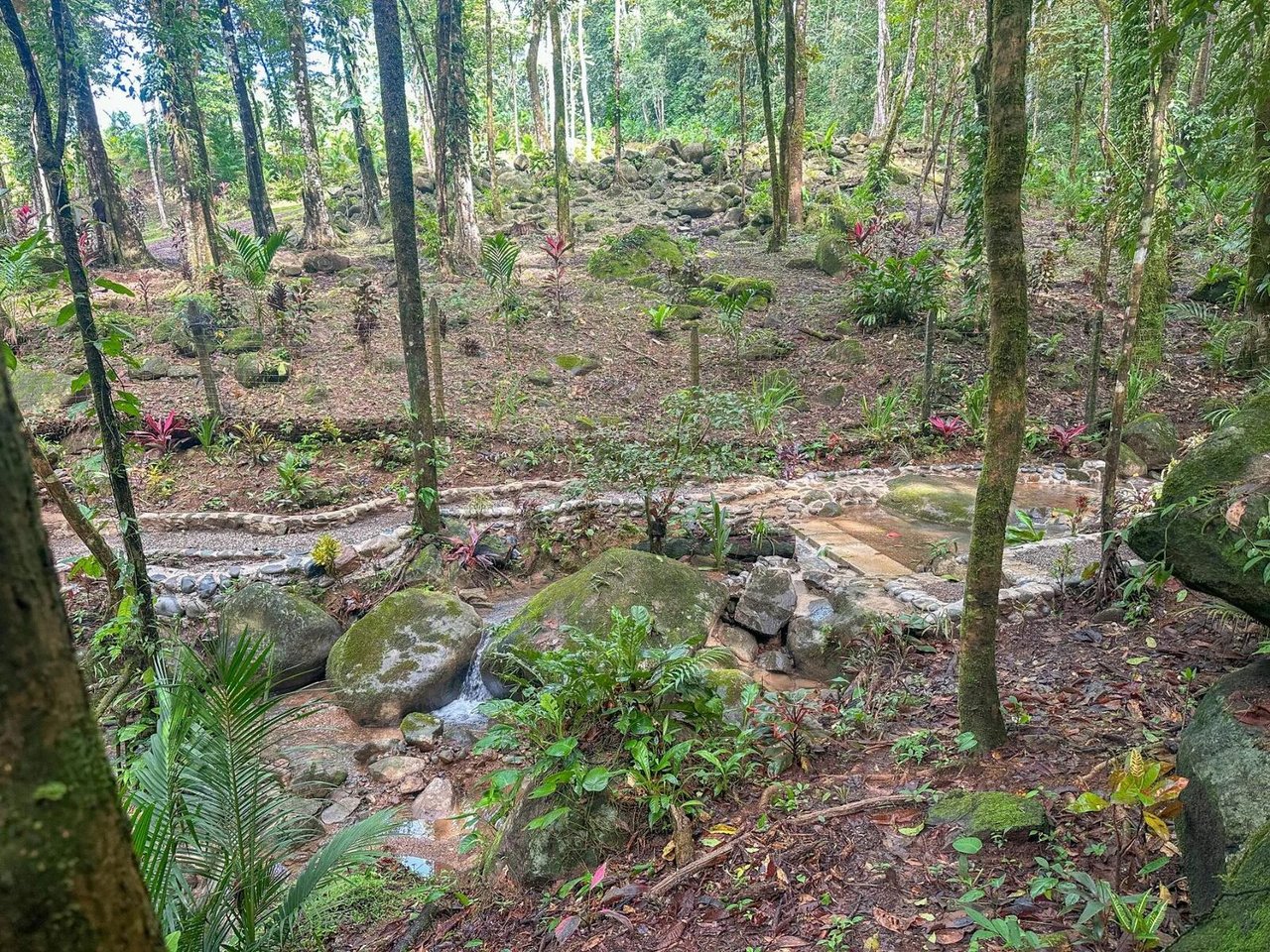 Private Waterfall Jungle Villa, Ojochal, Puntarenas