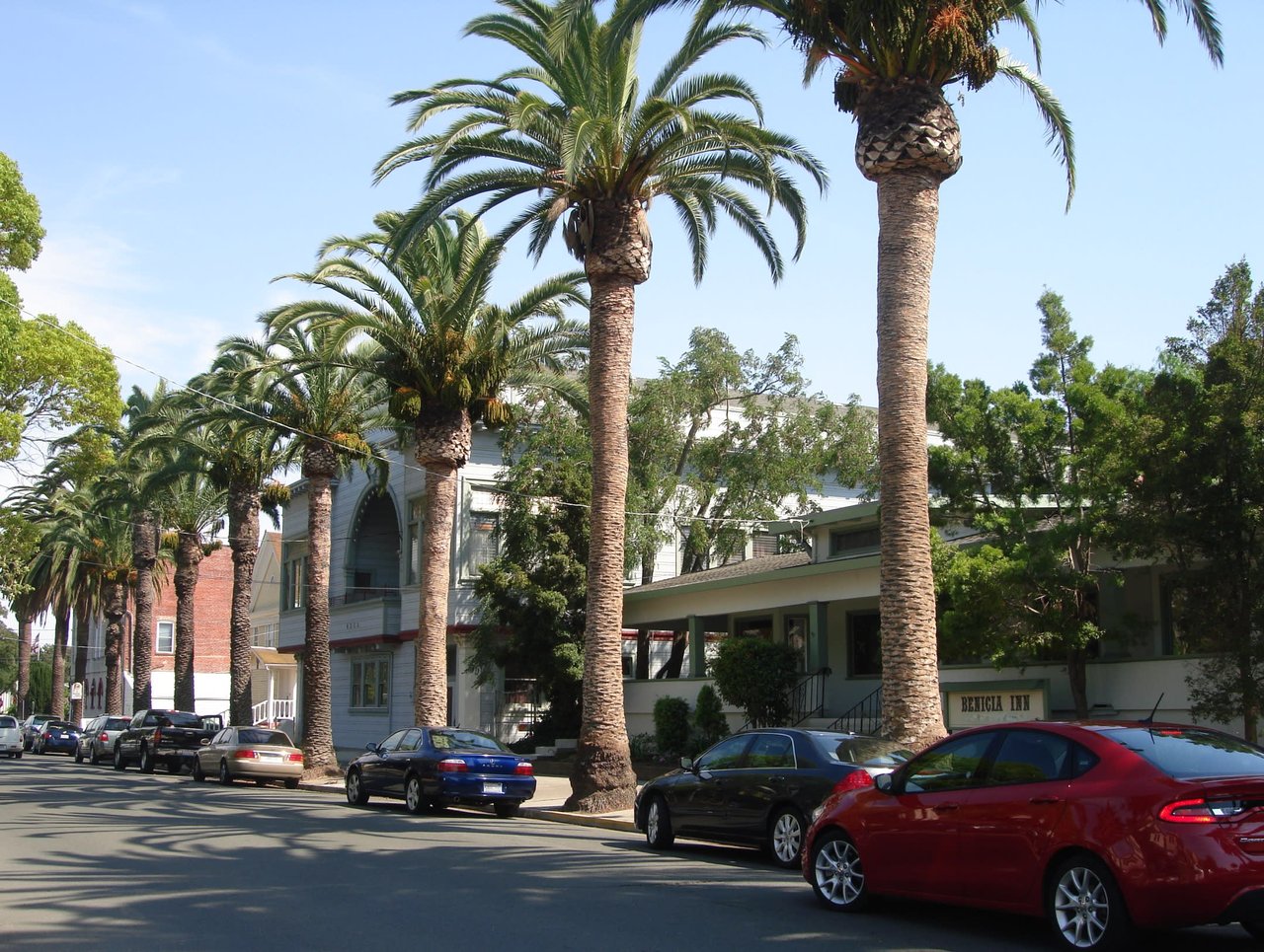 view of town road, lined by palm trees in front of Benicia Inn