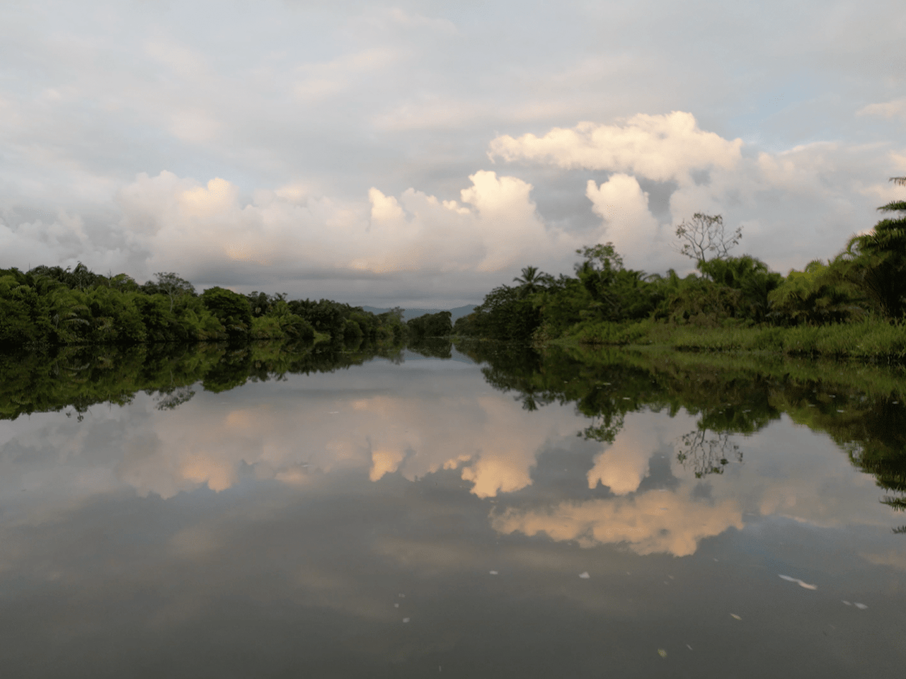 382 Acres of Sierpe River Wild Lands