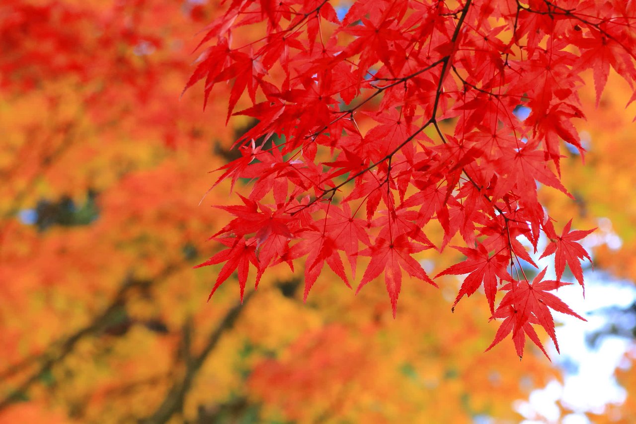 It's a Small World: A Season of Transition