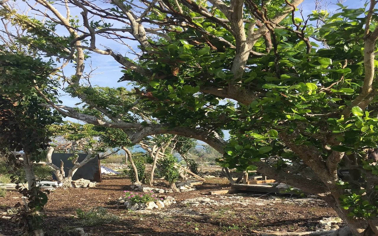 Ben's Cay Private Island