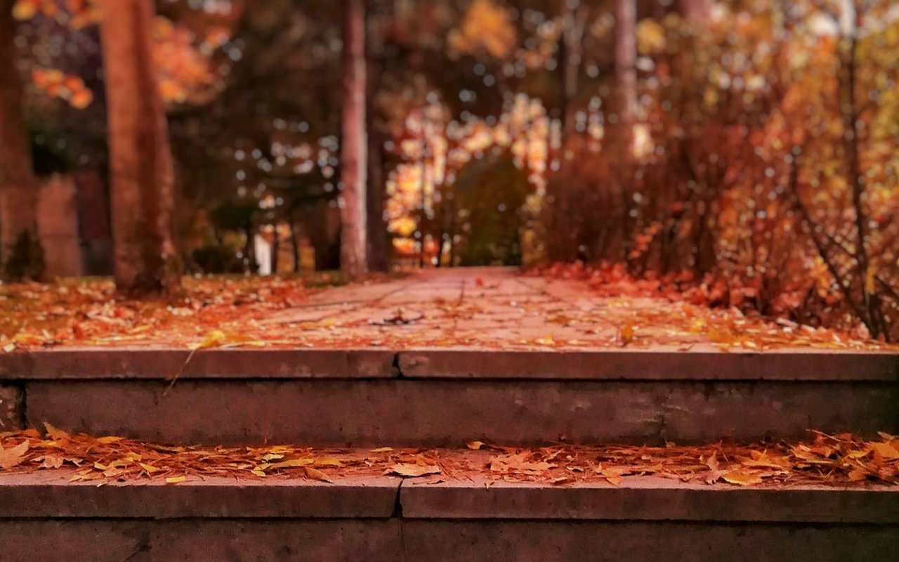 November 2021 Newsletter