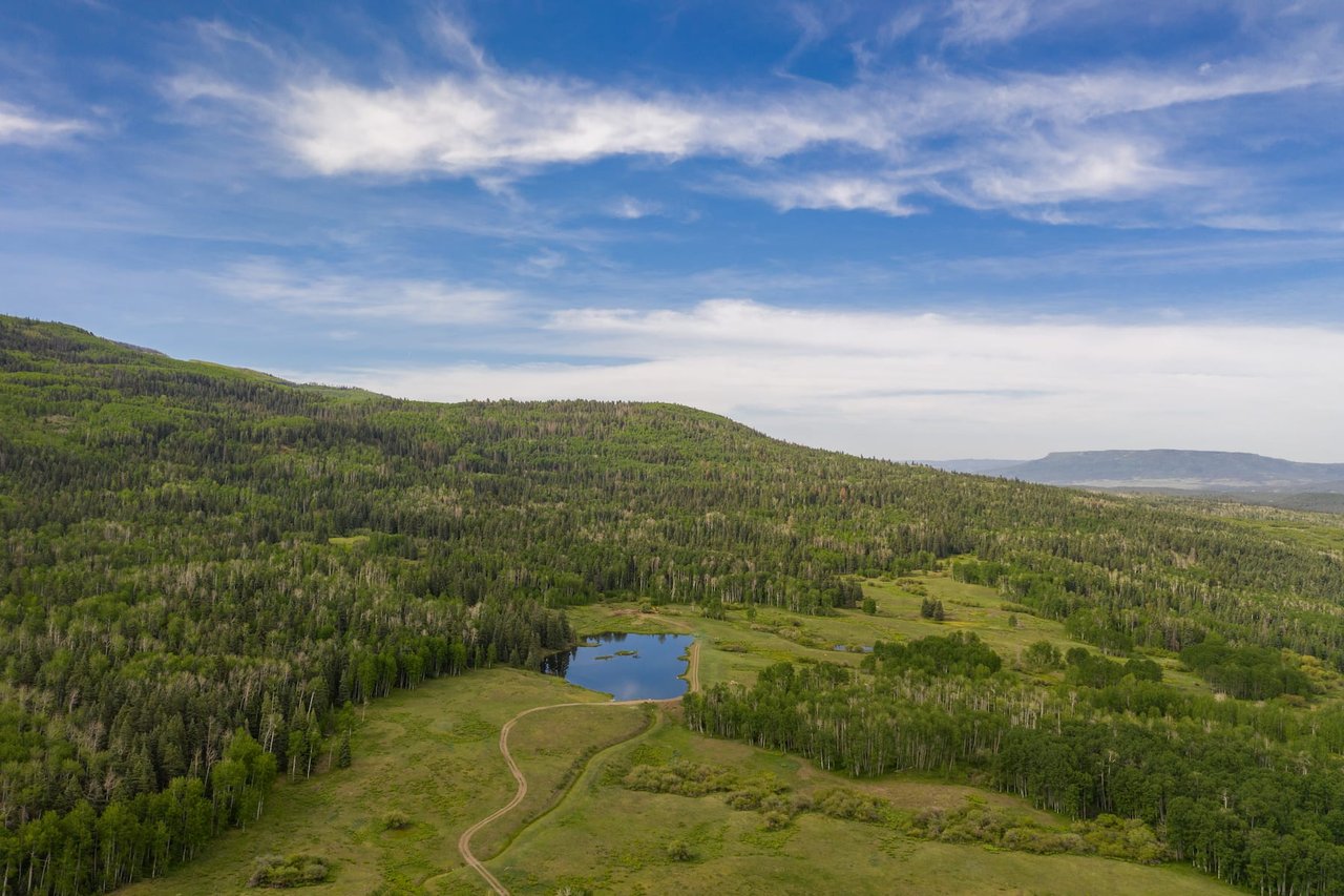 Mountain Bird Ranch