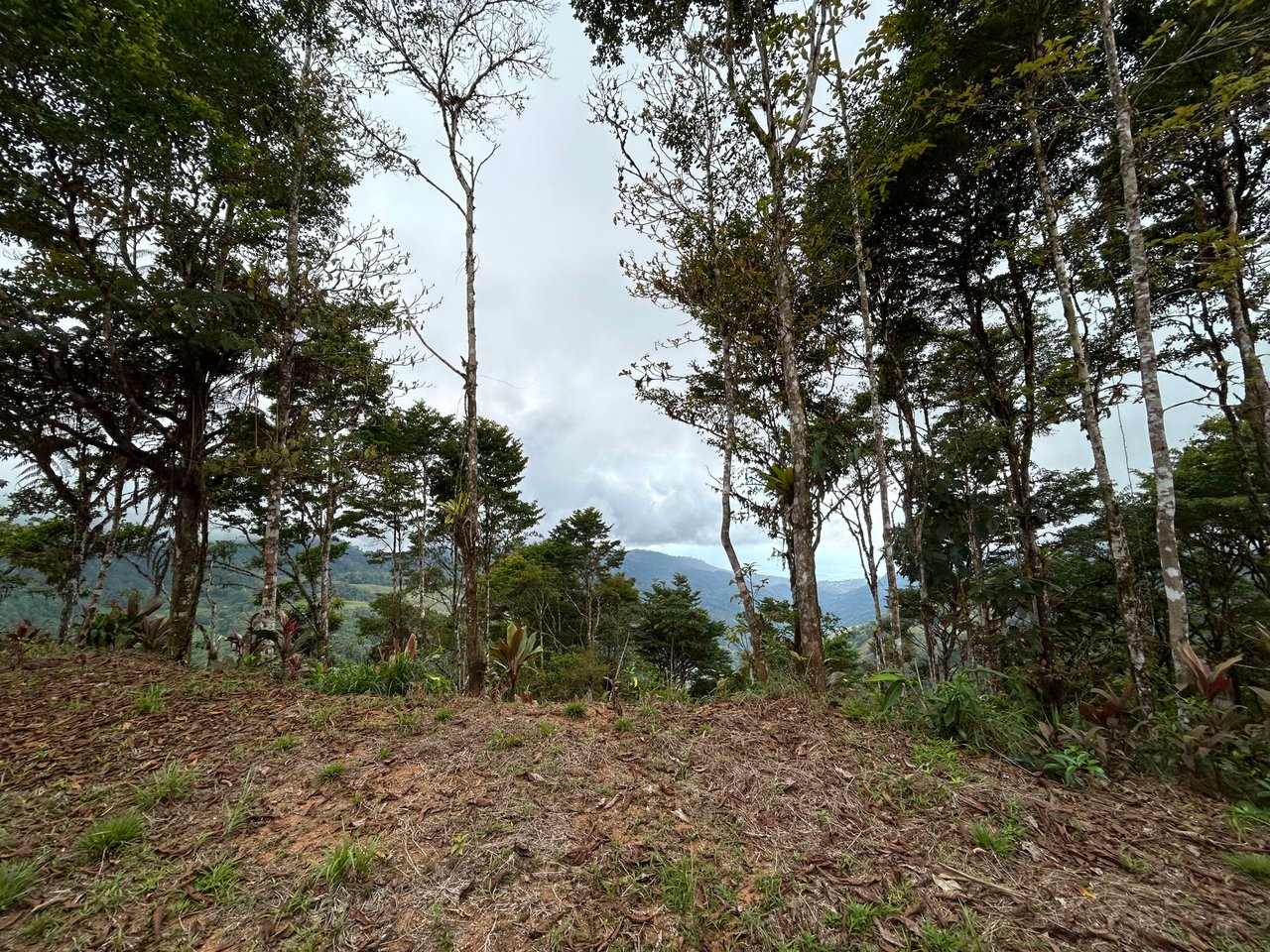 Whale Tail, Ocean & Mountain View lot in San Luis.
