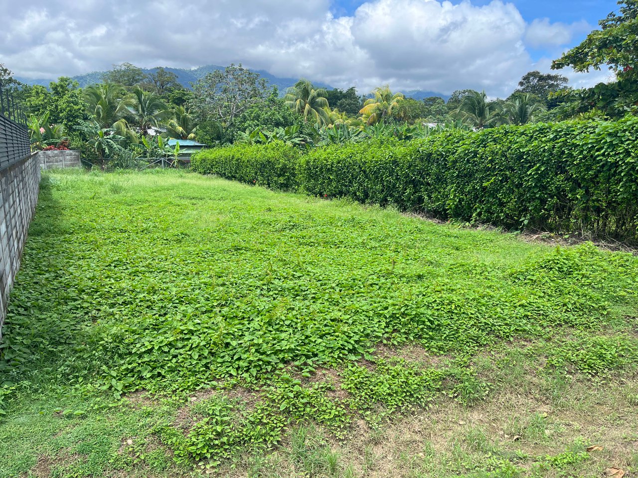 Great Lot Ready to Build, Uvita Whale Tail.