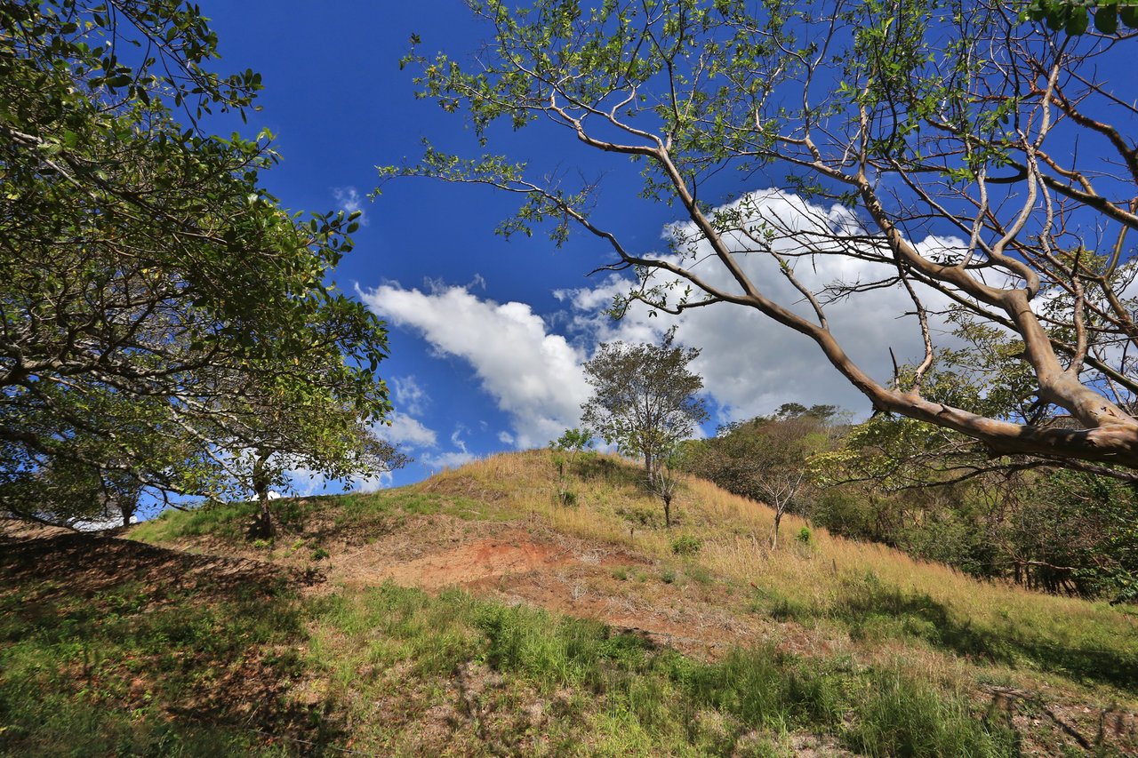 Panoramic Ocean View Lot, Atenas, Alajuela