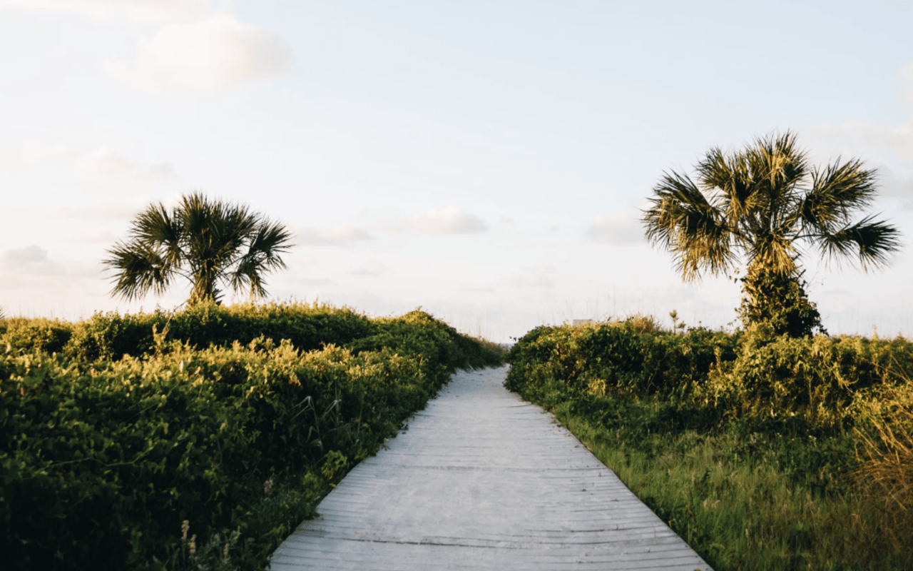 A Guide to Hilton Head Island Parks