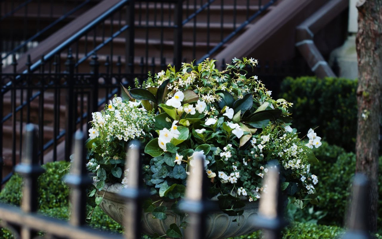 Beacon Hill