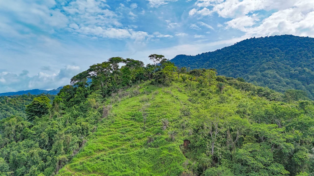 177 acre Ocean view property with multiple plantels, unspoiled mountain, jungle, river and waterfall areas