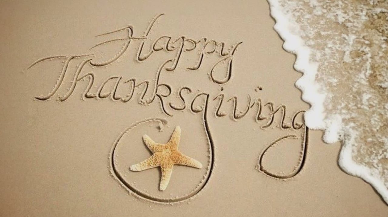 Thanksgiving Dinners & Desserts 