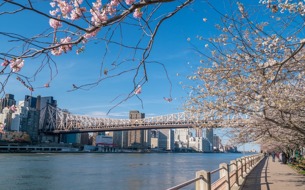 Roosevelt Island