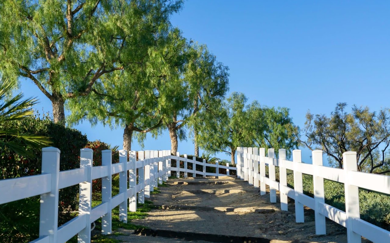 HIKING IN SOUTH ORANGE COUNTY