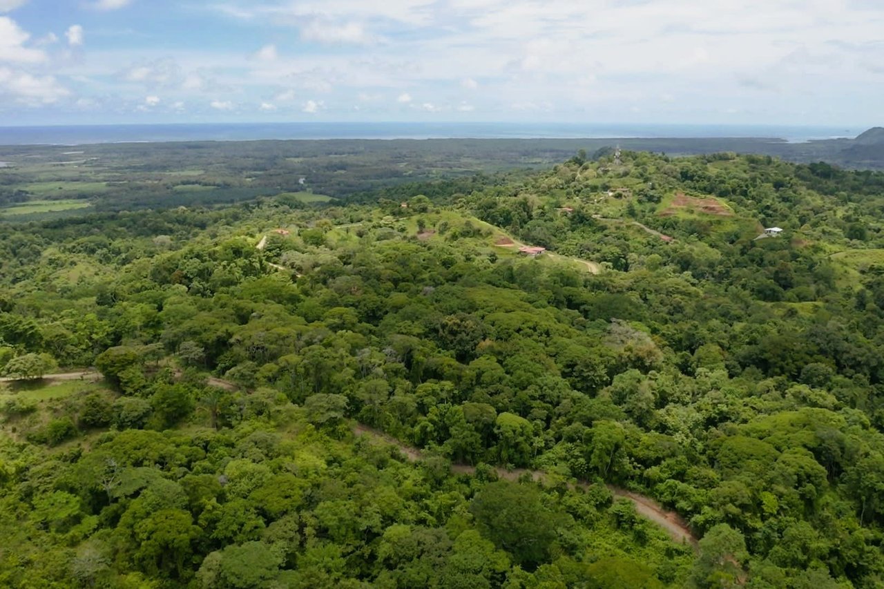 Wildlife Reserve Farm close to Ojochal