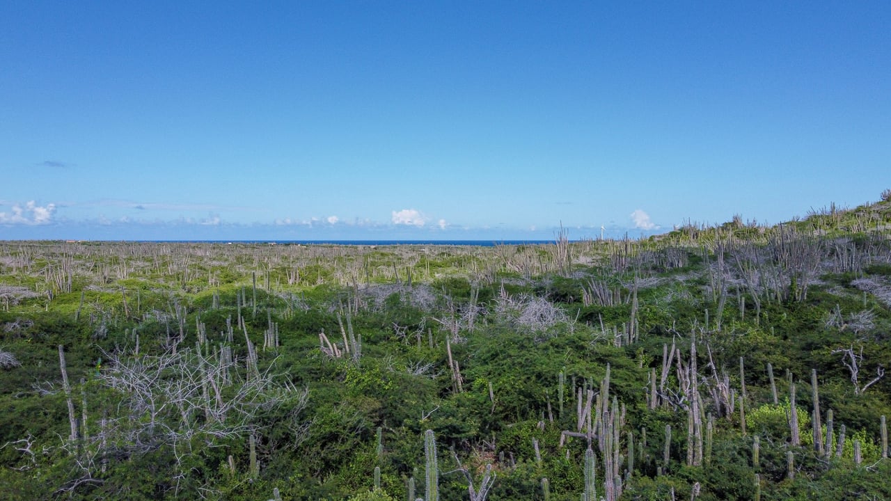 Property land Bonaire