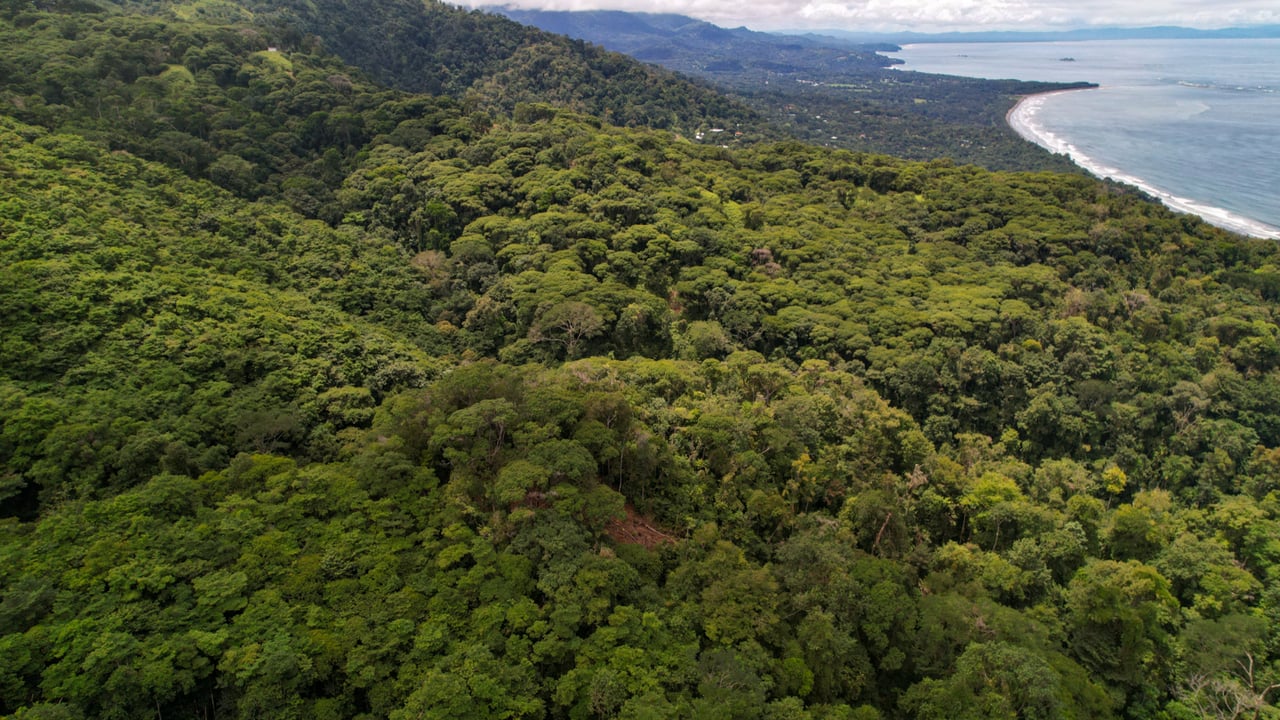 Ocean View Development Parcels, Dominical, Puntarenas