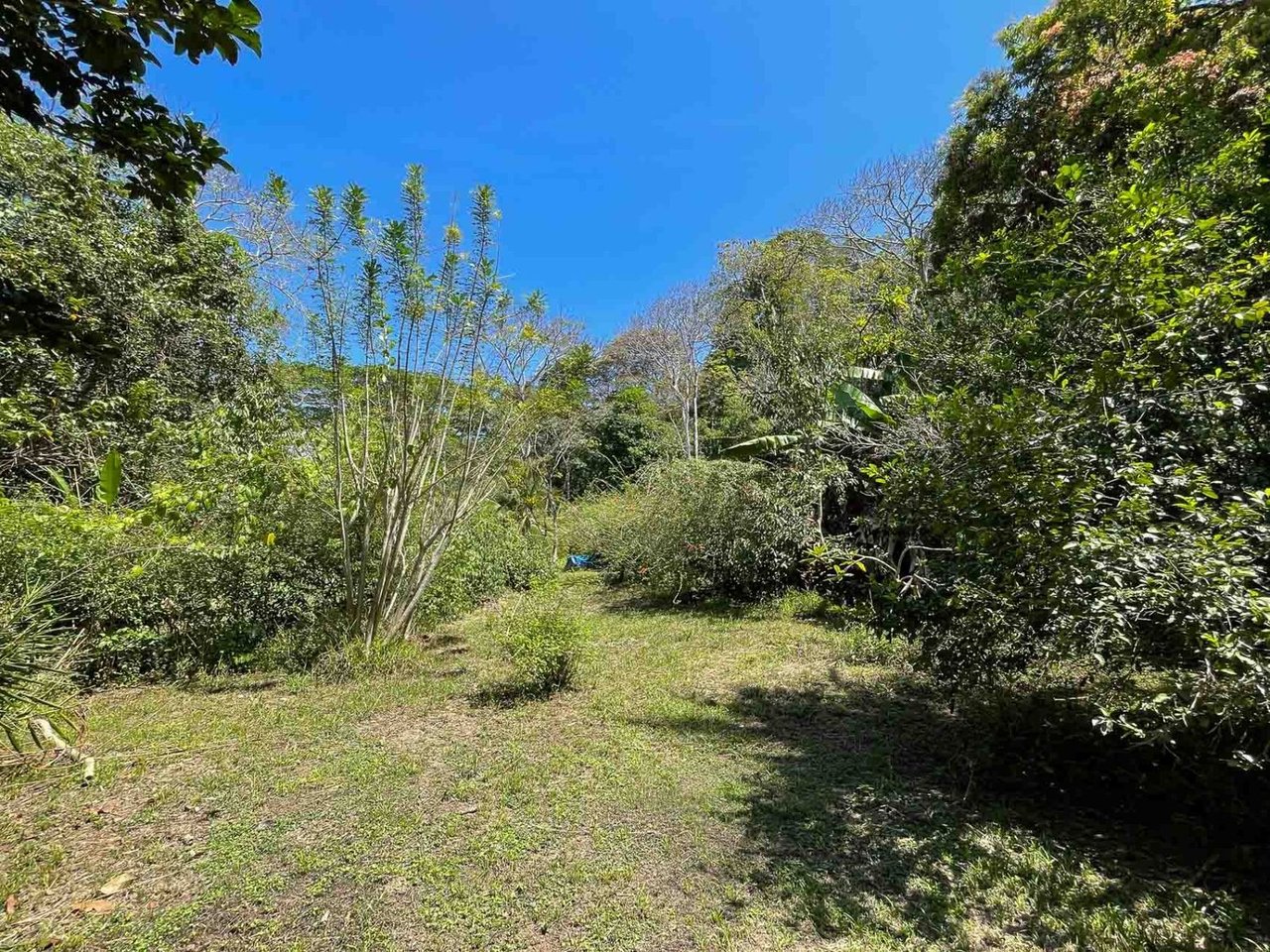 Pacific Frontage Rainforest Estate, Osa, Puntarenas