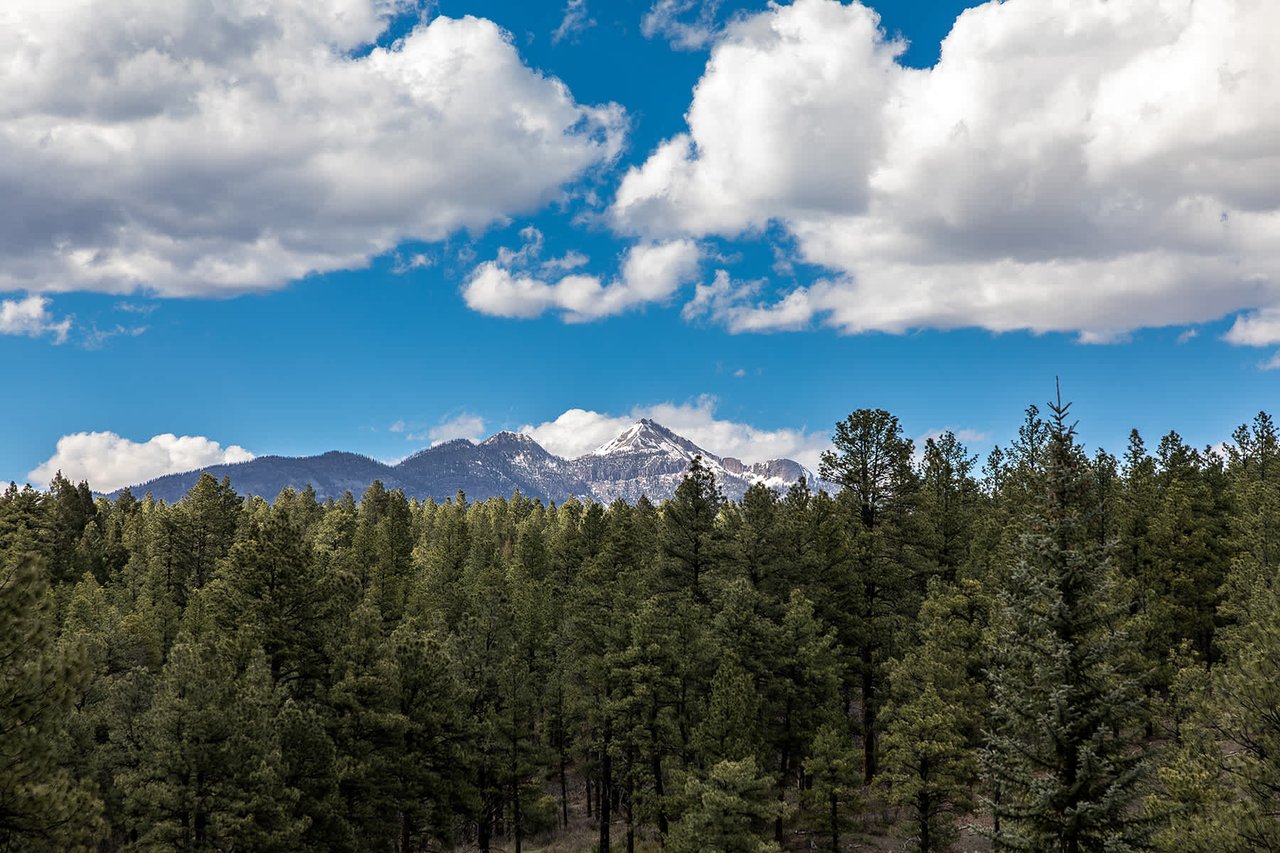 Watusi Ranch - Pagosa Springs, Colorado