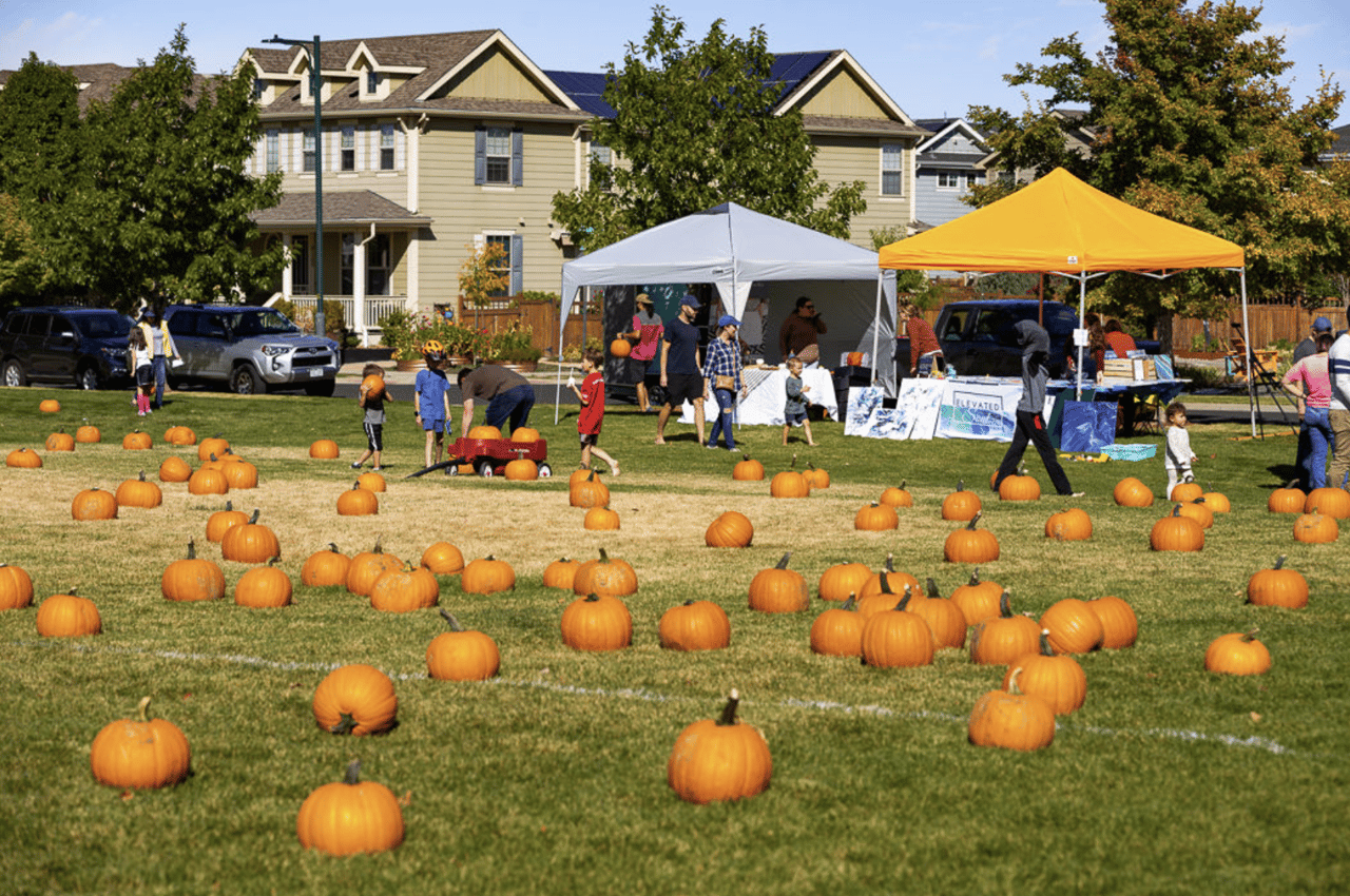 Central Park Fall Festival 2022