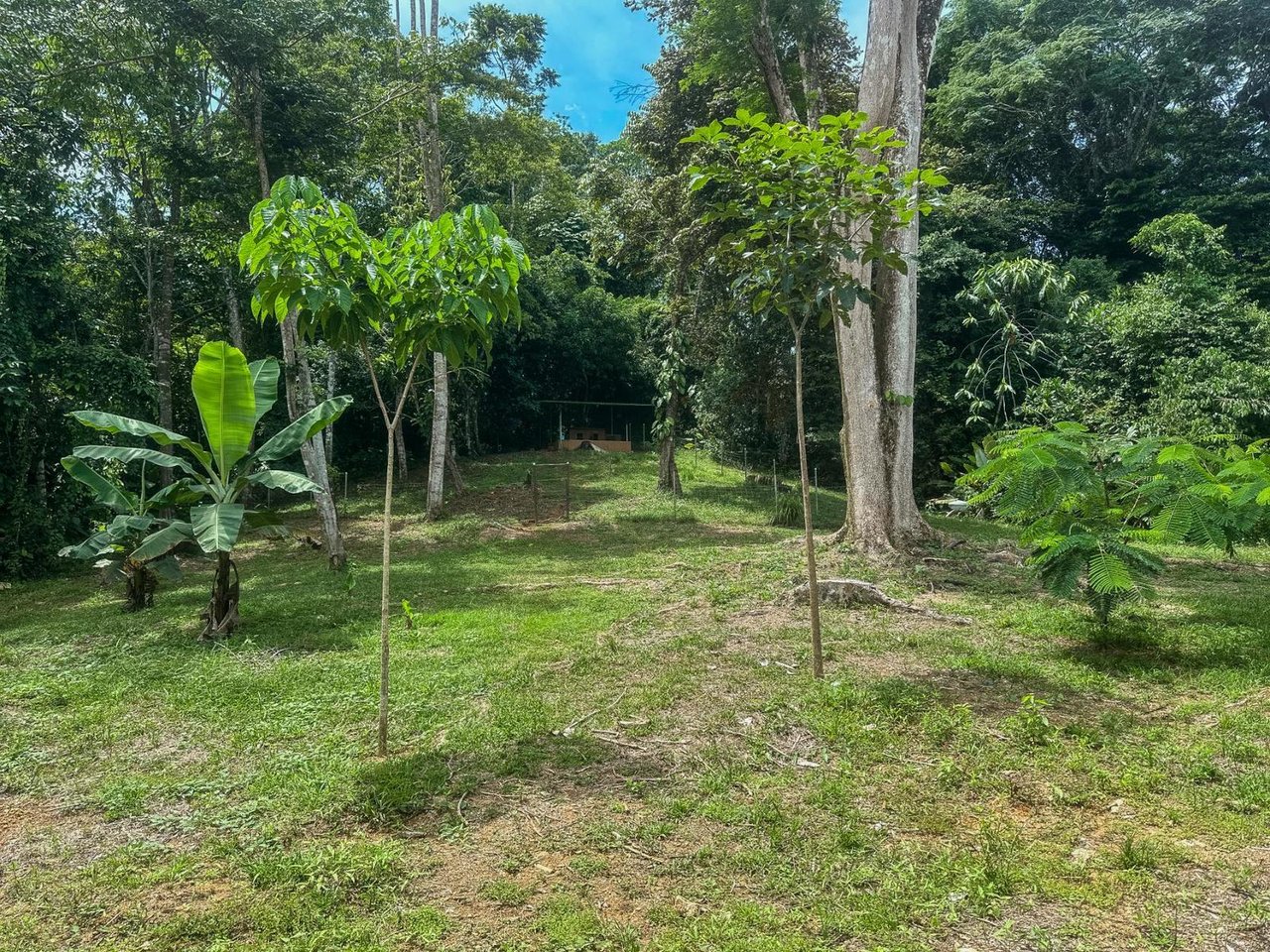 Riverside Jungle Acreage Estate, Ojochal, Puntarenas