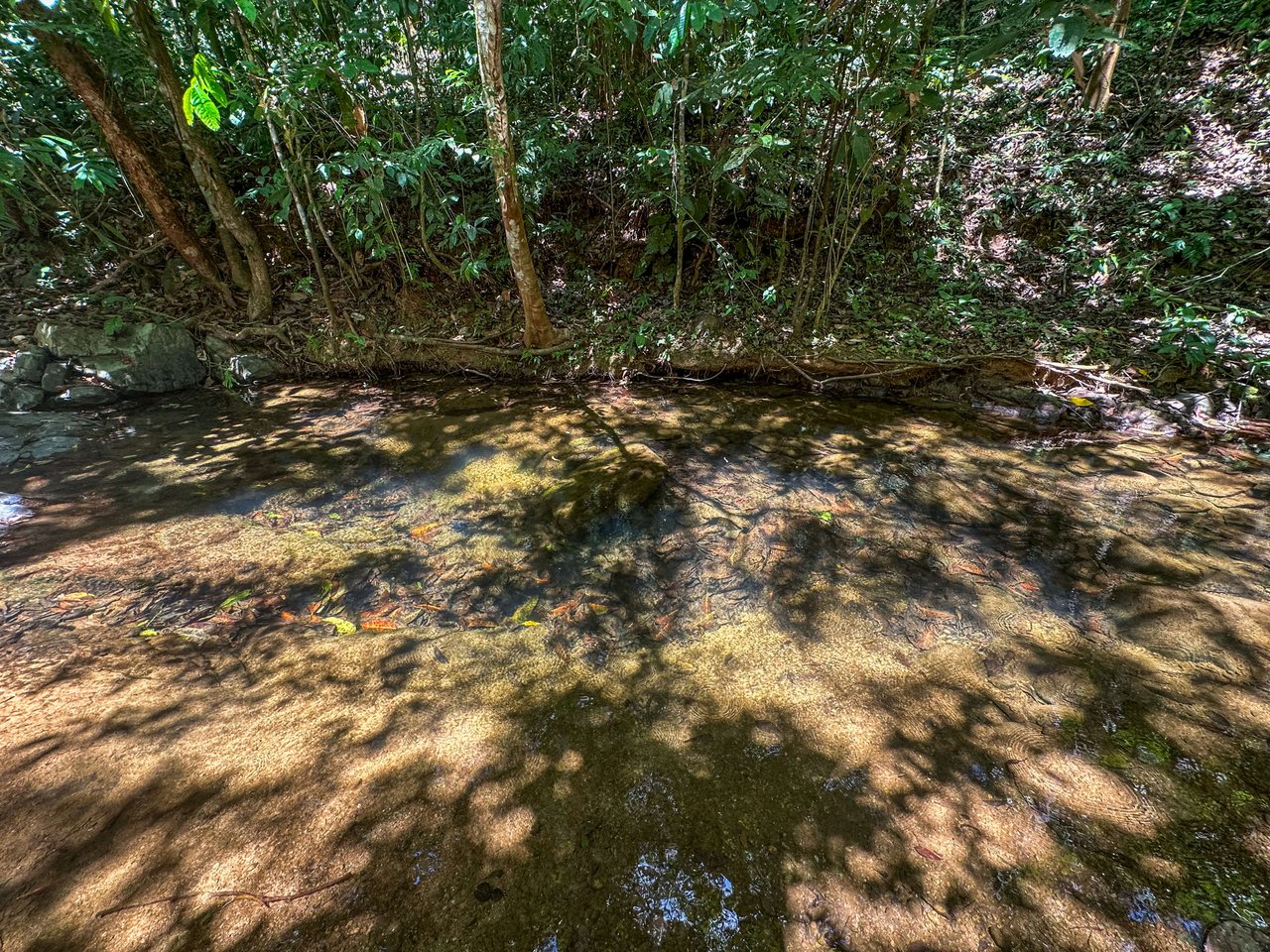 An elevated, prepared river lot with 360-degree ocean, mountain, valley and jungle views