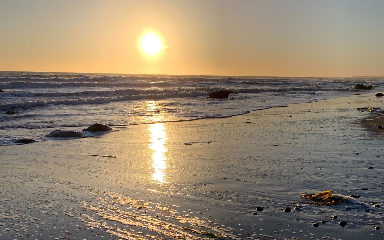 Increased Momentum in 2019 and Full Speed Ahead in 2020