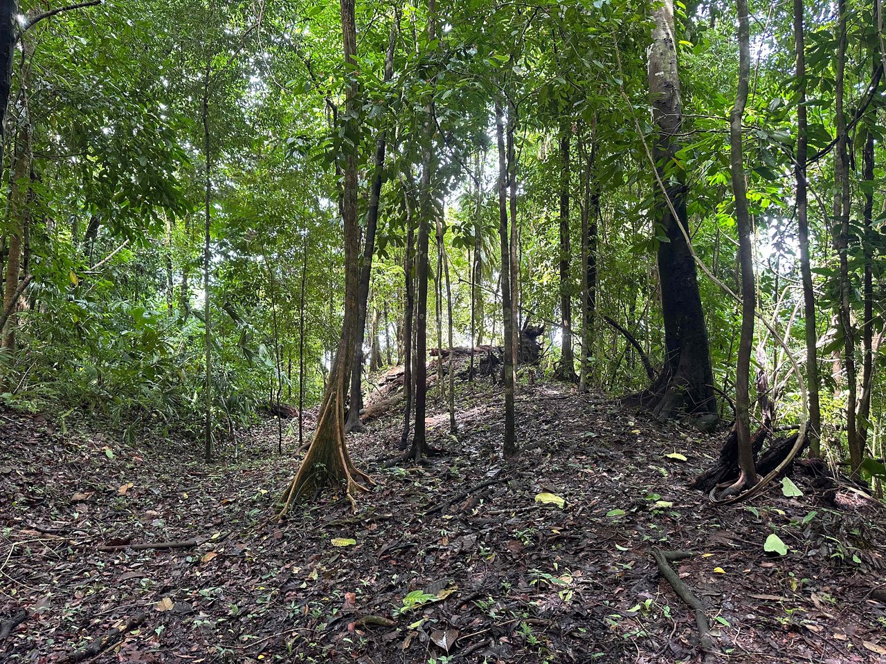 Prime 9.4-Acre Ocean View Land in Golfito