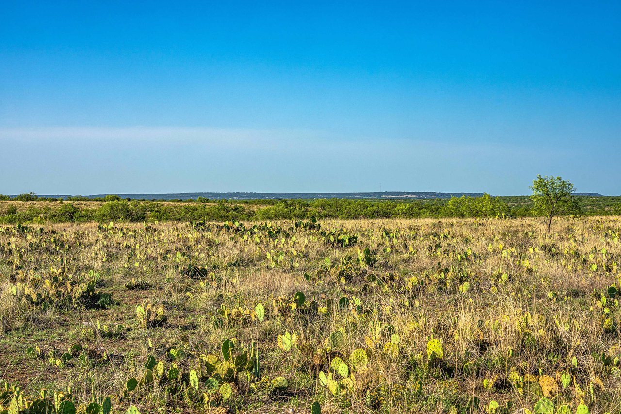 440 AC Coleman County