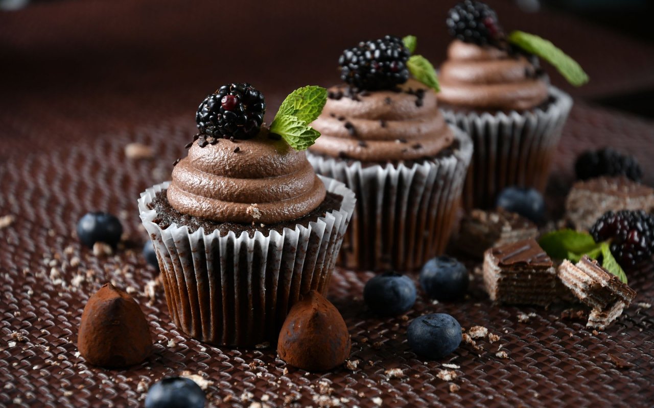 Suckers for Sugar: National Cupcake Day Report