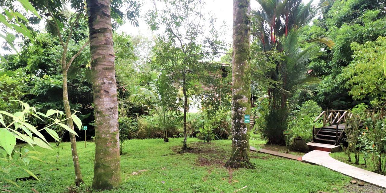 Riverfront Boutique Jungle Hotel, Ojochal, Puntarenas