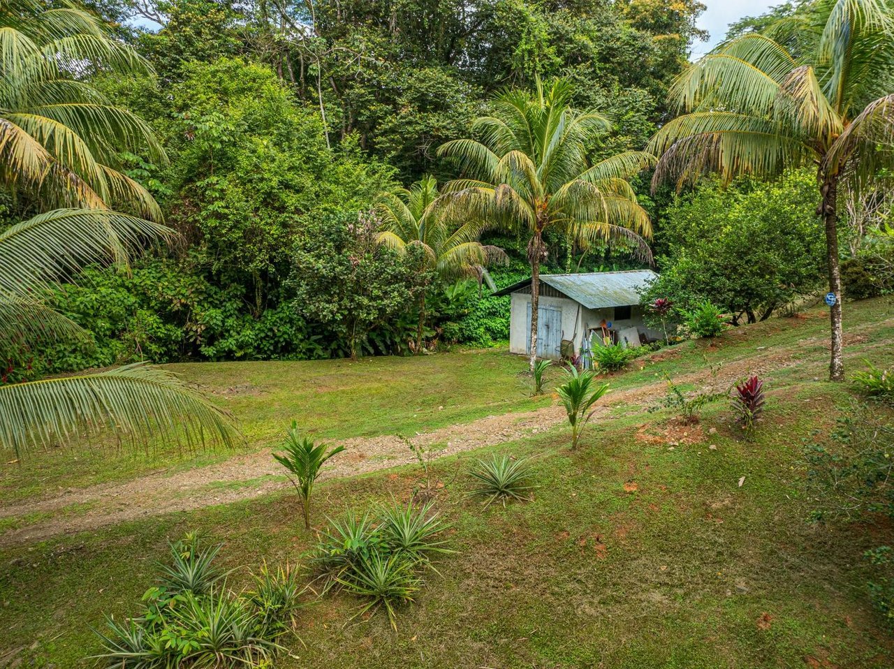 Private Riverfront Jungle Oasis, Ojochal, Puntarenas